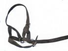 Black Webbing Head Collar & Lead