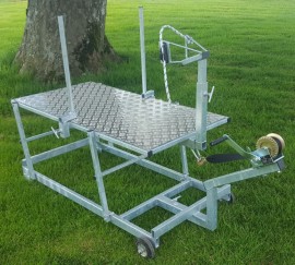 Sheep Trimming Stand