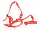 Red Webbing Head Collar & Lead